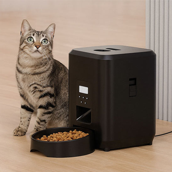 distributeur de croquettes pour chat noir debout