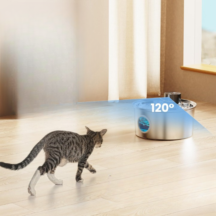 fontaine a eau chat qui avance