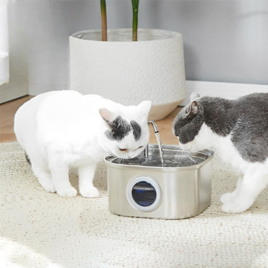 fontaine à eau pour chat - Hydratochat