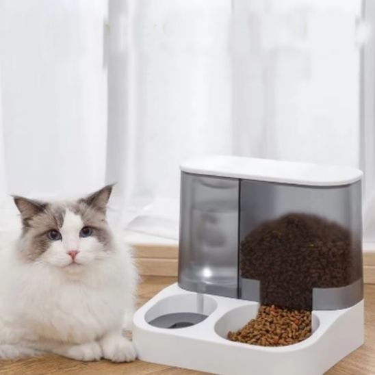 distributeur croquette chat croqsmart