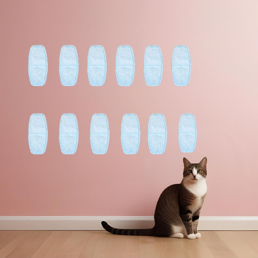 fontaine a eau chat 12 filtres