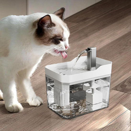 fontaine a eau chat blanc leche