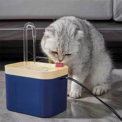 fontaine eau chat gris boit