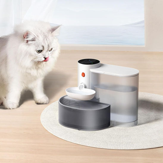 fontaine a eau pour chat proche