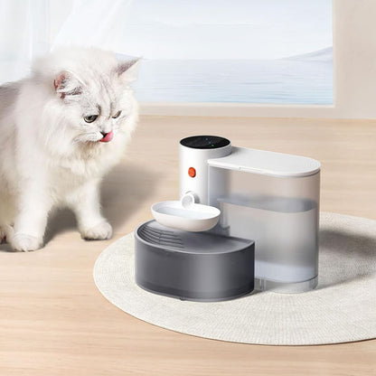 fontaine a eau pour chat proche