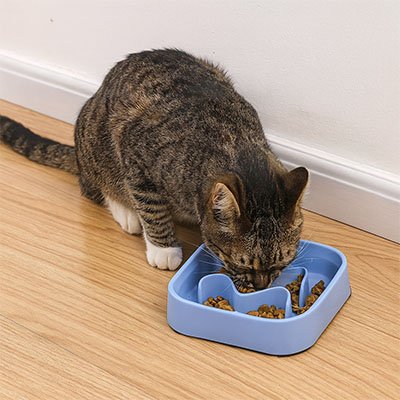 gamelle anti glouton bleu