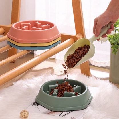 gamelle anti glouton chat 4 couleurs