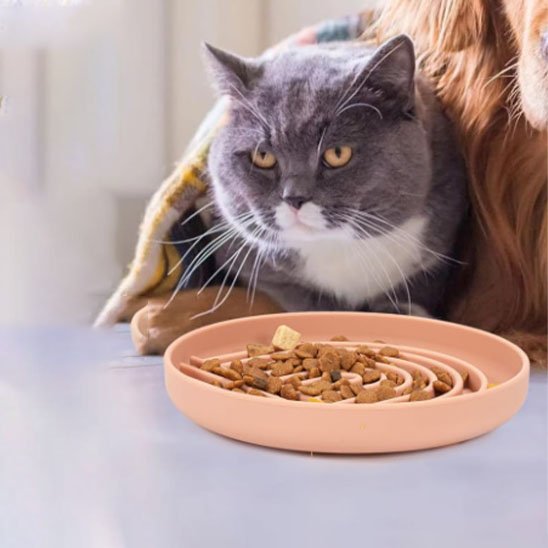 Gamelle anti glouton chat